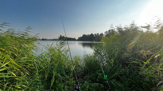 Großer Schwanensee (Rechtenfleth)-2
