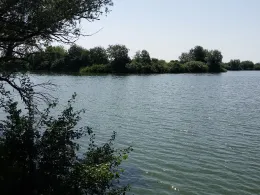 Großer Schwanensee (Rechtenfleth)-1