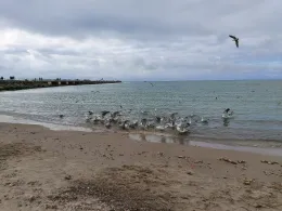 Nordsee (Vorupør)-3