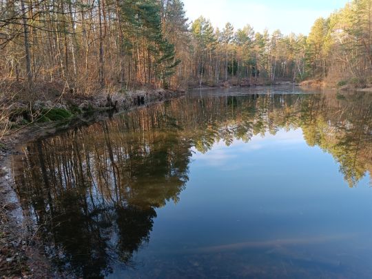 Birkenteich (Faßberg)-2