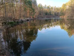 Birkenteich (Faßberg)-2