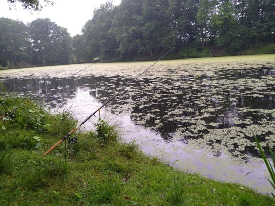 Pumpelteich (Walsrode)-2