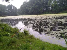 Pumpelteich (Walsrode)-2