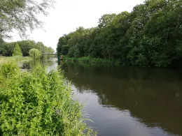 Oude Ijssel (Ulft)-2