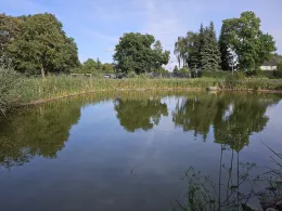 Dorfteich Milzau-2