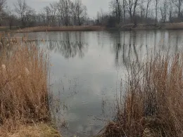 Kanal Wüsteneutzsch-3