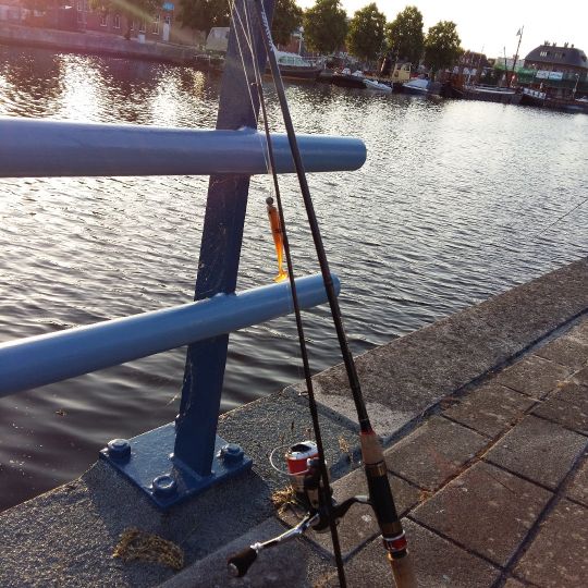 Renselhaven Winschoten angeln