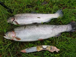 Neuweiher (Rückholz)-3