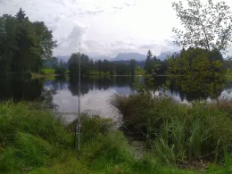 Neuweiher (Rückholz)-2