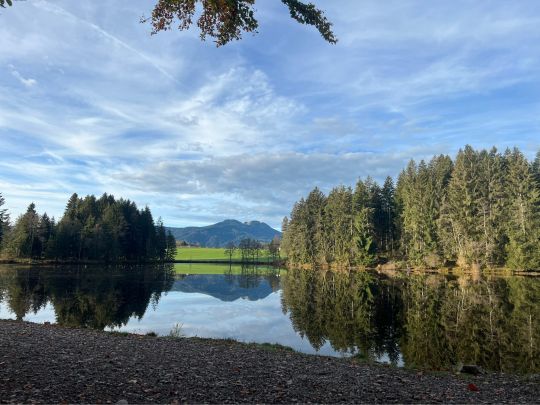 Neuweiher (Rückholz)-1