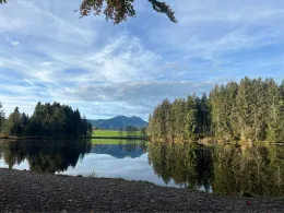 Neuweiher (Rückholz)-1