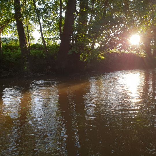 Mümling (Obernburg)-4