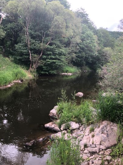 Nahe (Fischbach-Weierbach)-2