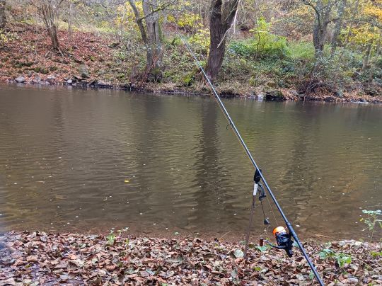 Nahe (Fischbach-Weierbach)-3