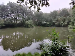 Brinkenweiher (Staudt)-2