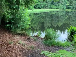 Erichsburger Teich-1