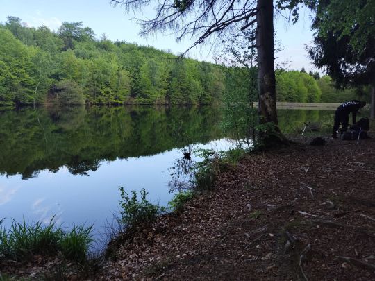 Erichsburger Teich-3