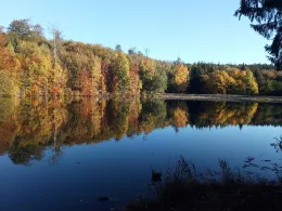 Erichsburger Teich-4