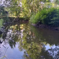 Weißer Main (Trebgast)