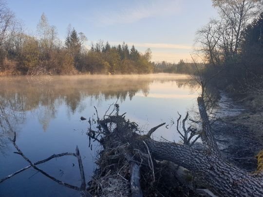 Loisach (Penzberg)-2