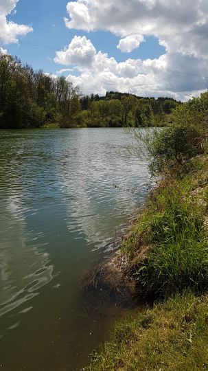 Iller (Lautrach/Illerbeuren)-3