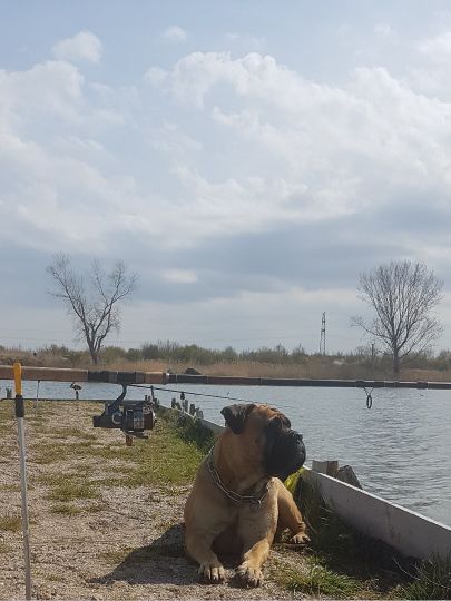 Grüner Teich (Grube Alfred)-0