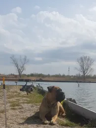 Grüner Teich (Grube Alfred)-0