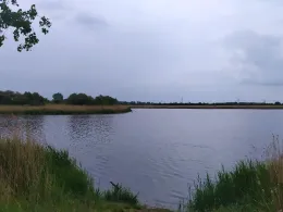 Grüner Teich (Grube Alfred)-3