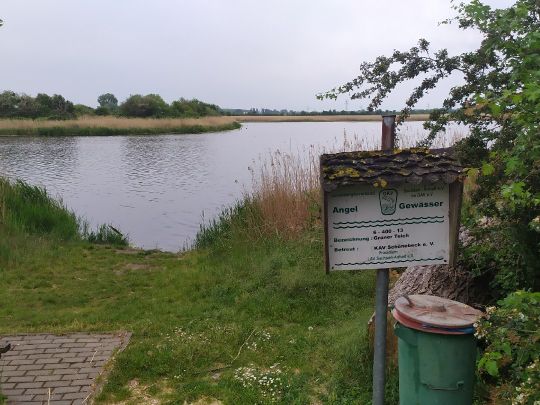 Grüner Teich (Grube Alfred) ALLE ANGELN