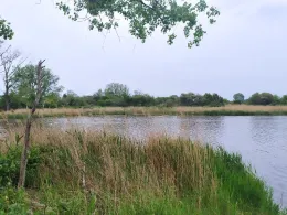 Grüner Teich (Grube Alfred)-2