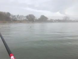 Mittellandkanal (Sehnde)