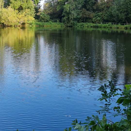 Birkenweiher (Gatersleben)-3