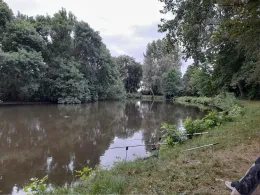 Birkenweiher (Gatersleben)-2