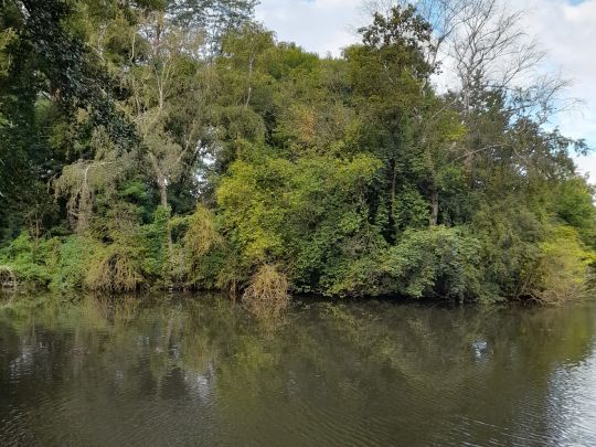 Birkenweiher (Gatersleben)-4