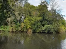 Birkenweiher (Gatersleben)-4