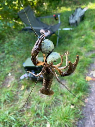 Birkenweiher (Gatersleben)-1