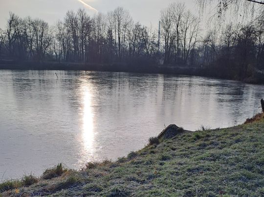 Schleichersee (Jena)-4