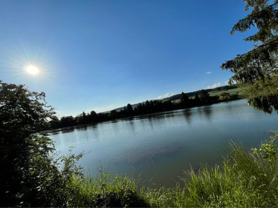 Alter Baggersee Westheim (Marsberg)-1