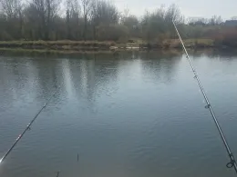 Saale (Weißenfels)-2