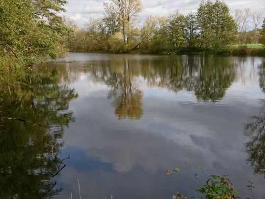 Saale (Weißenfels)-4