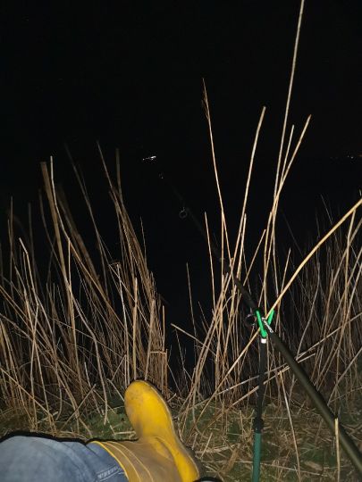 Alte Lune (Bremerhaven)-1