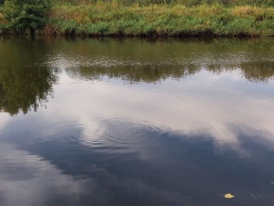 Alte Lune (Bremerhaven)-3