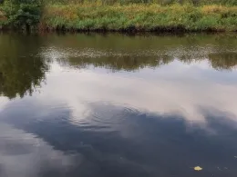 Alte Lune (Bremerhaven)-3