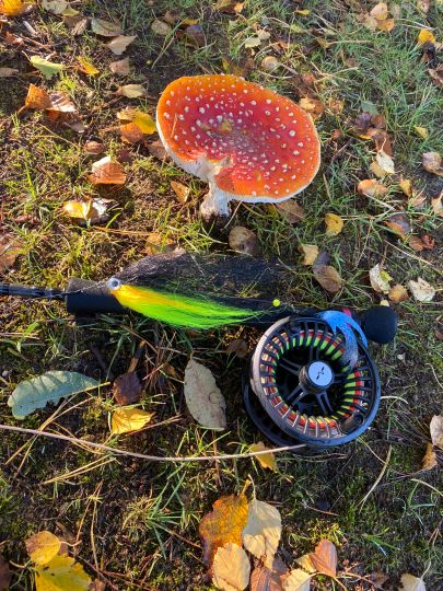 Alte Lune (Bremerhaven)-2