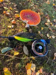 Alte Lune (Bremerhaven)-2