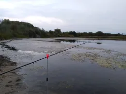 Flutbrücke 2 (Pratau)