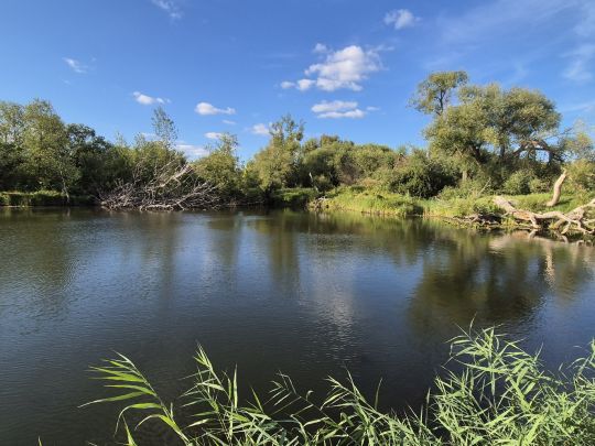 Flutbrücke 2 (Pratau)-3
