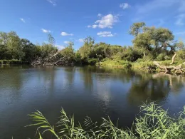 Flutbrücke 2 (Pratau)-3