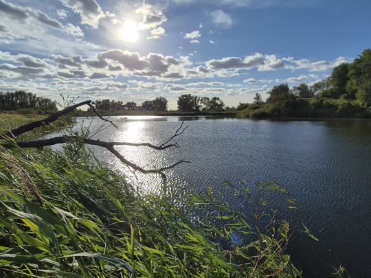 Flutbrücke 2 (Pratau)-1