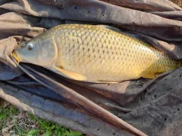 Höhlensee (Eberstadt)-1